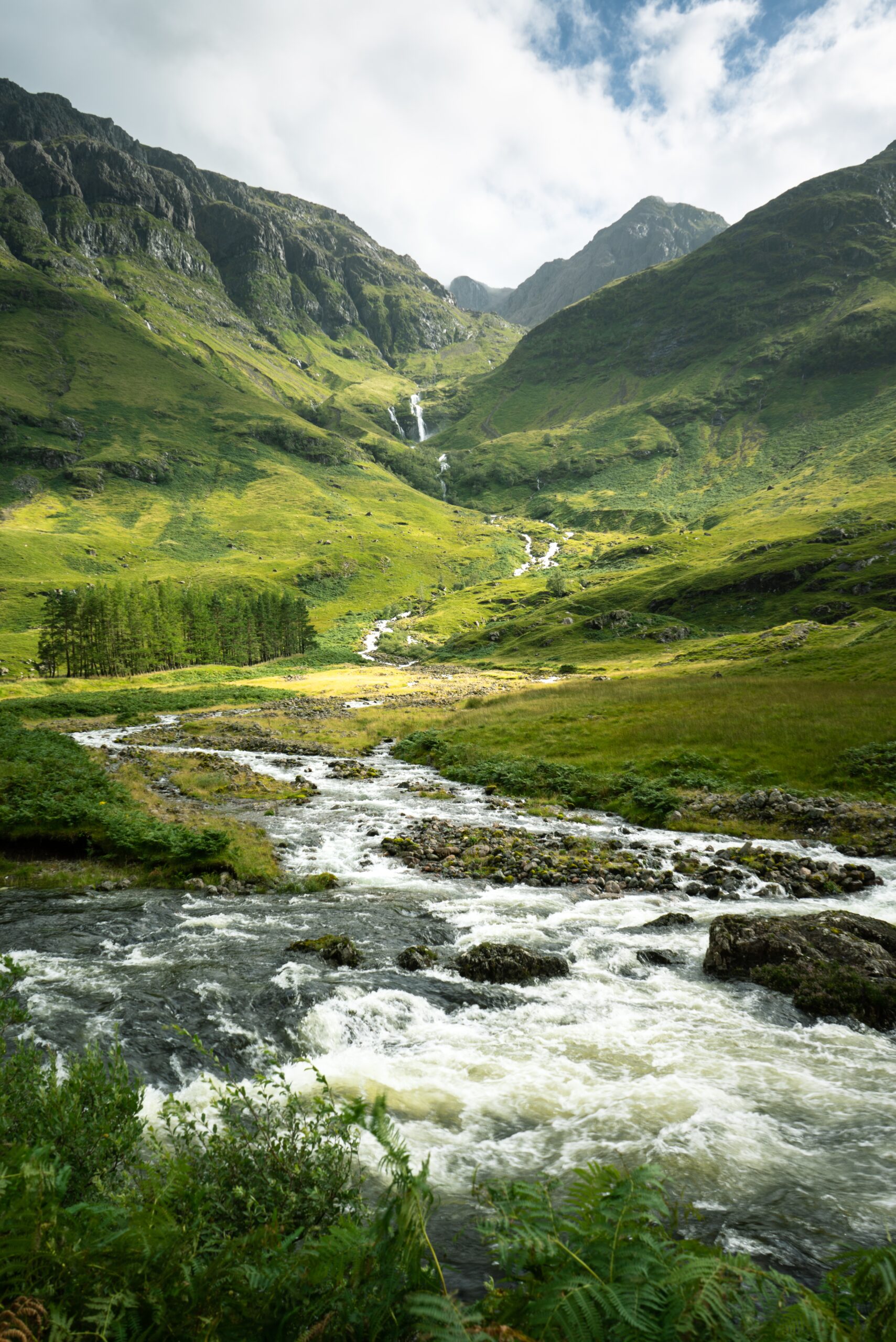 Image link
